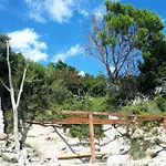 Horvat On Island Pag