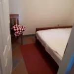 Horvat On Island Pag Lejlighed Vlašići