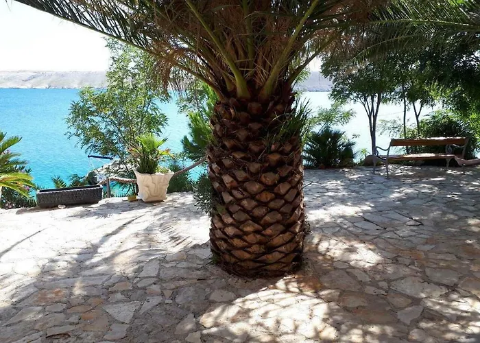 Horvat On Island Pag 公寓 Vlašići