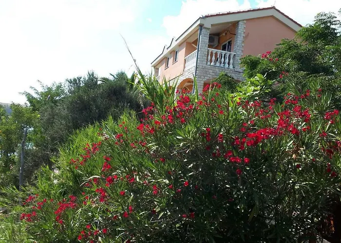 Horvat On Island Pag Daire *