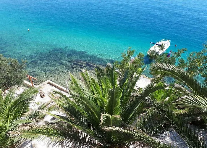Horvat On Island Pag *